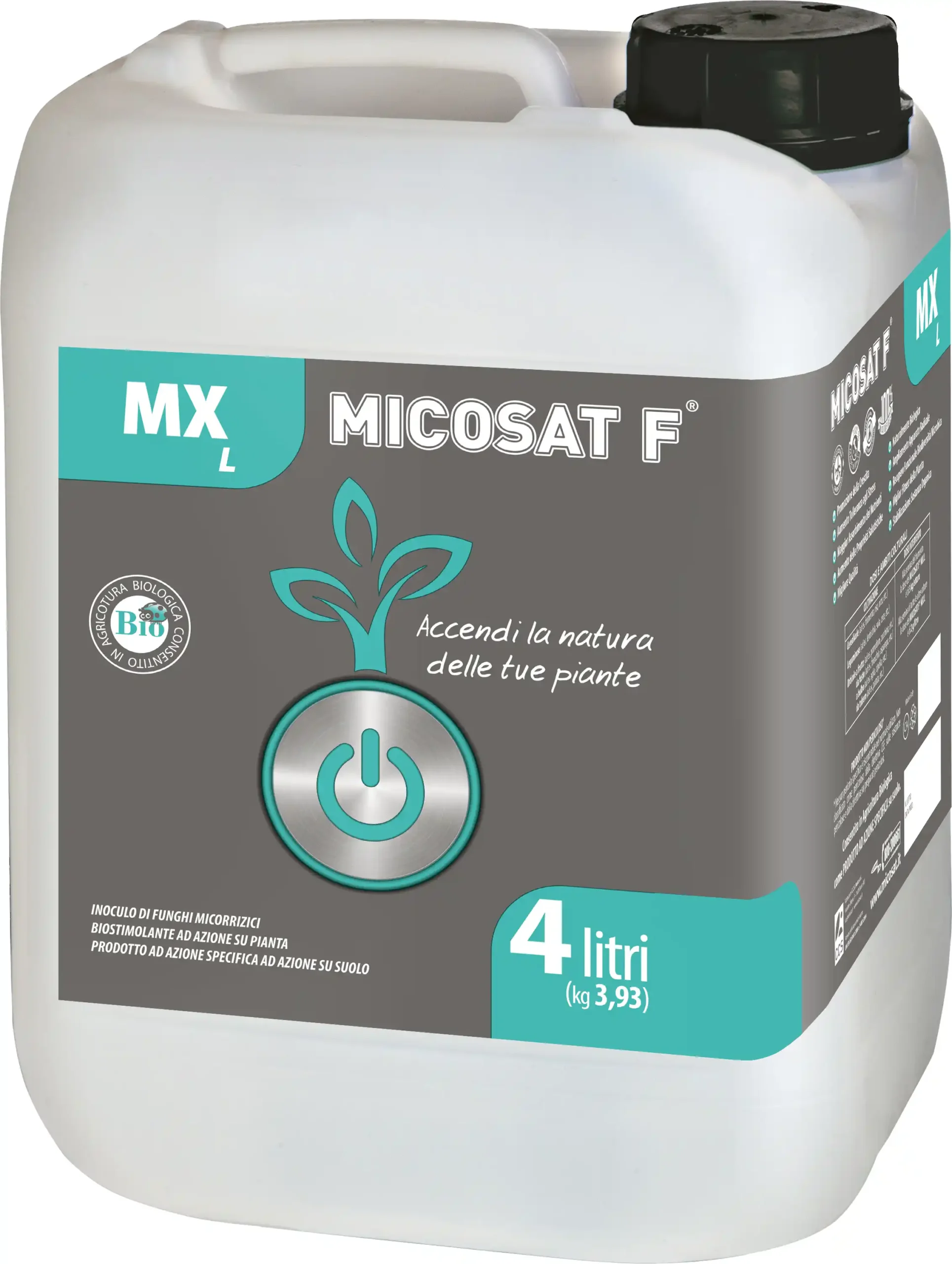 MX IT packaging